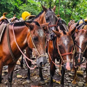 Horseback riding to waterfalls
