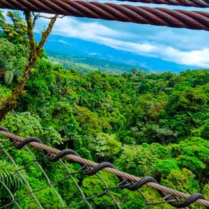 Hanging bridges