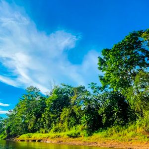 Safari (Raft/Kyack)   revisar